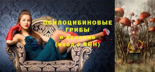 крисы Алзамай