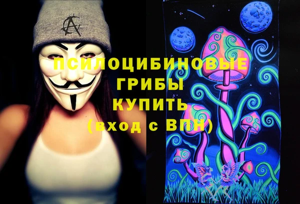 крисы Алзамай