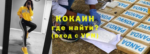 крисы Алзамай