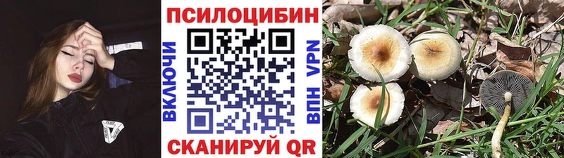 Псилоцибиновые грибы MAGIC MUSHROOMS Крымск