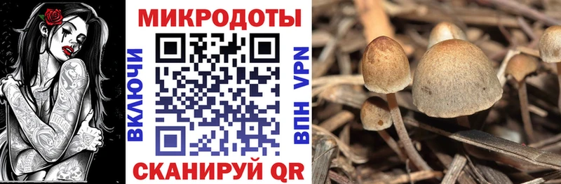 Галлюциногенные грибы GOLDEN TEACHER  Крымск 